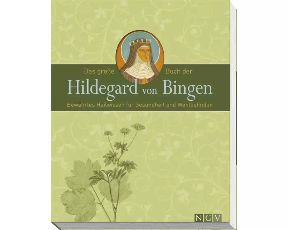 Das große Buch der Hildegard von Bingen