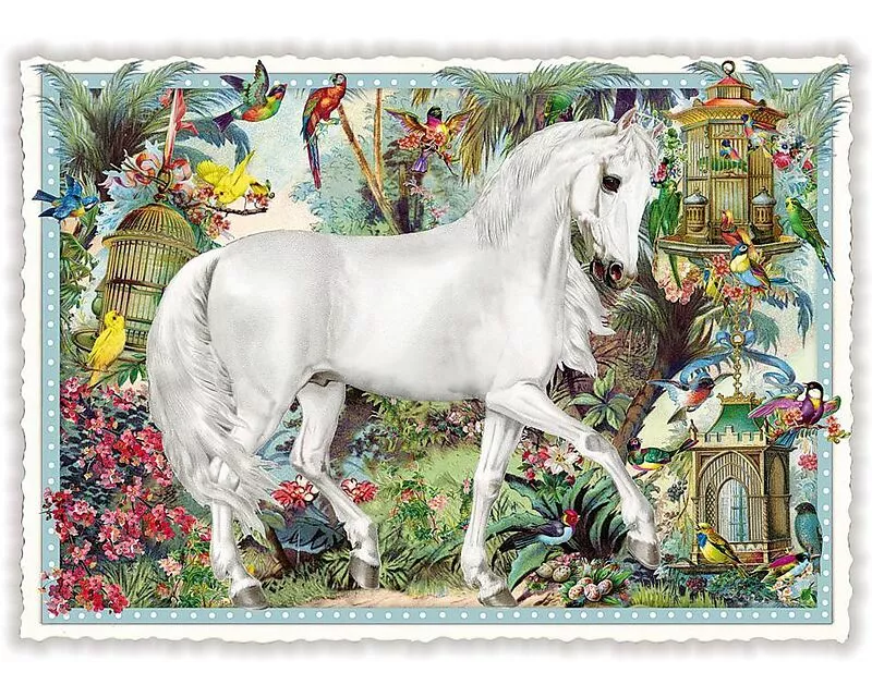 Postkarte / Weisses Pferd / quer / blanko