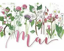 Postkarte. Mai (Blumen)