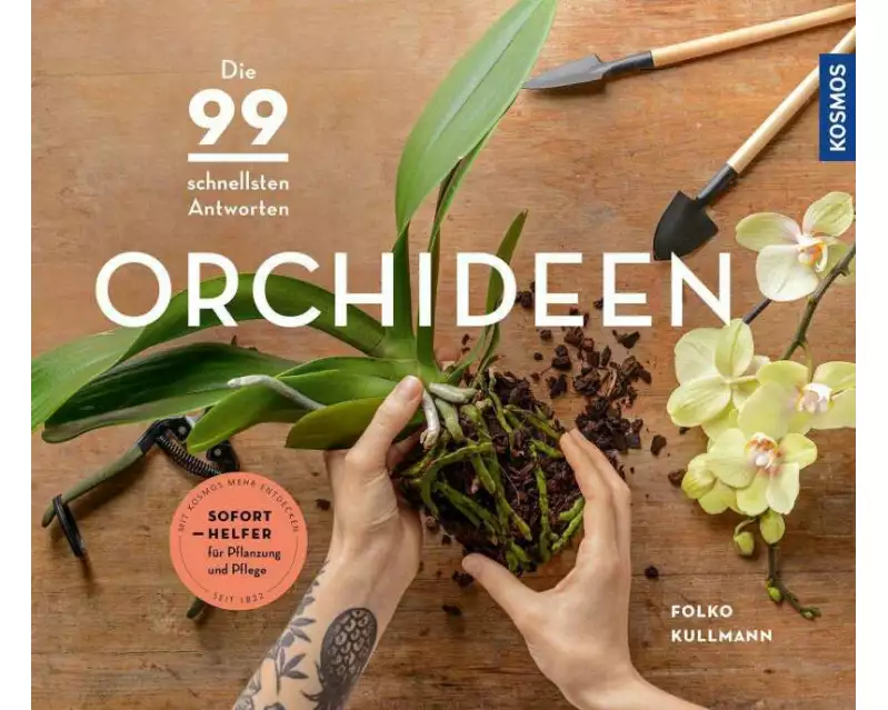 Orchideen