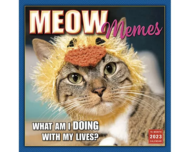 Meow Memes