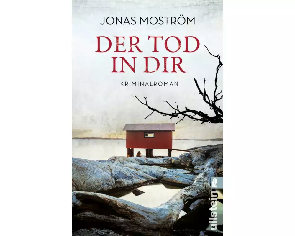 Der Tod in dir (Ein Nathalie-Svensson-Krimi 6)