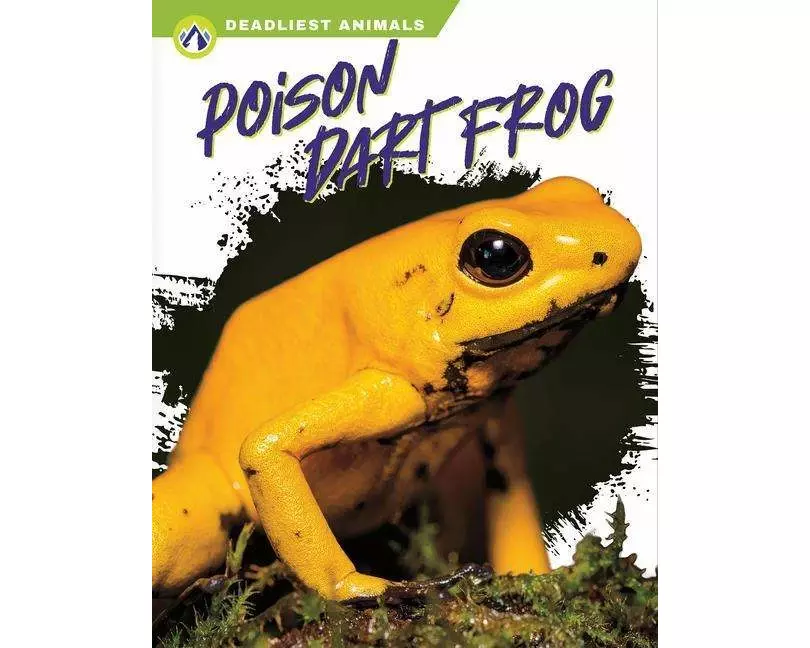 Poison Dart Frog