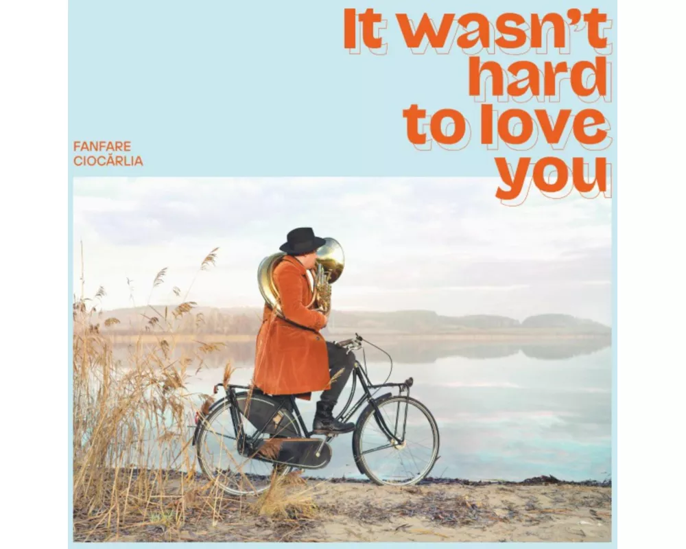 It wasn't hard to love you