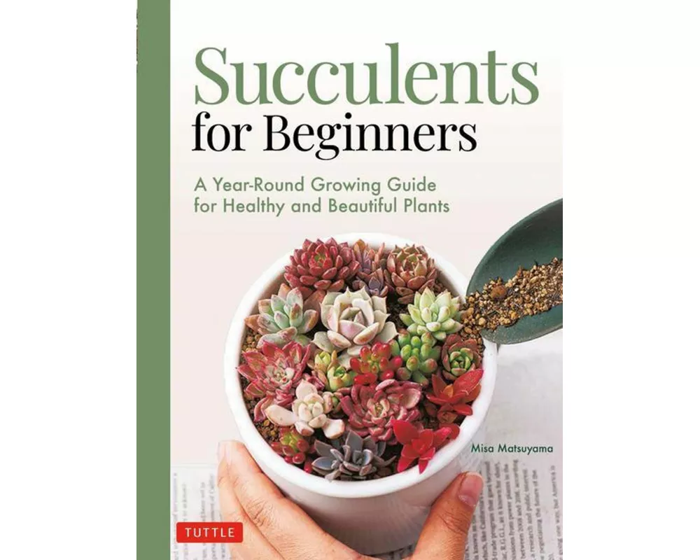 Succulents for Beginners