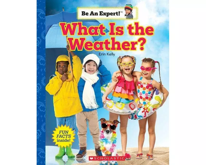 What Is the Weather? (Be an Expert!)
