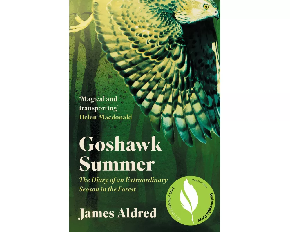 Goshawk Summer