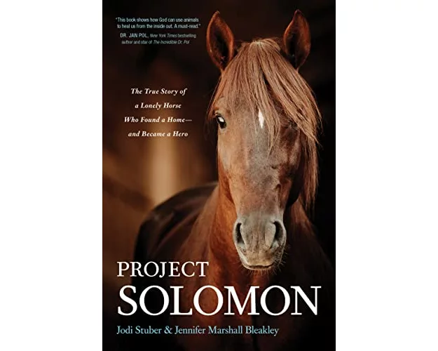 Project Solomon