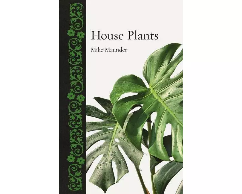 House Plants