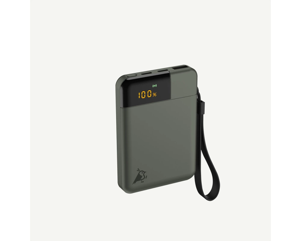 Aqiila Powerbank Powerbird B5, 12W, Moosgrün, 5.000 mAh