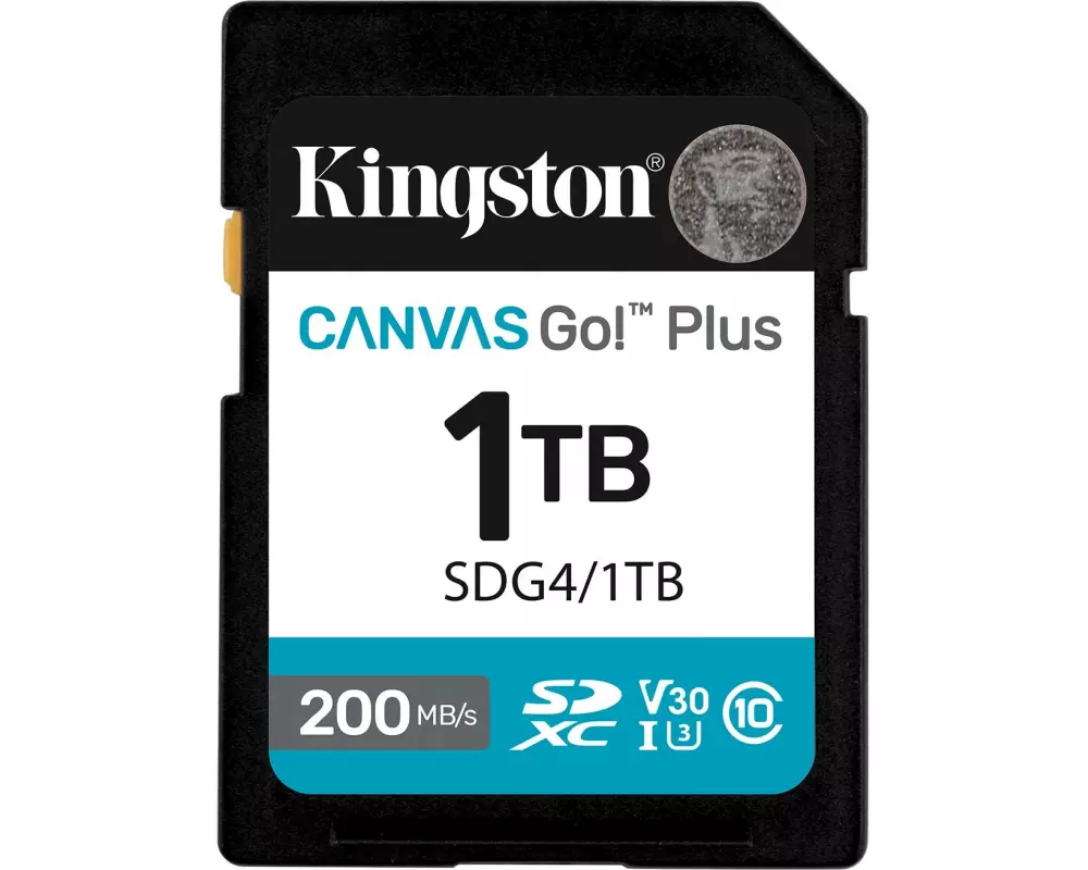 Kingston SDXC-Karte Canvas Go! Plus 1000 GB
