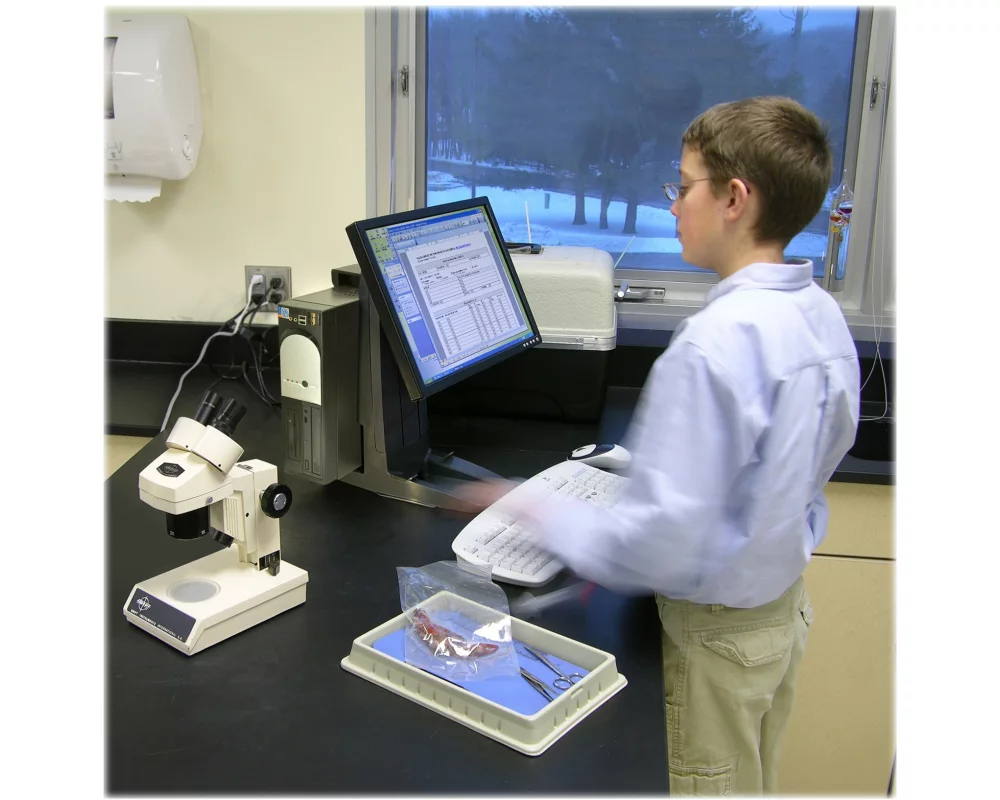 ERGOTRON desk stand, Neo-Flex All In One SC, hight adjustable 12,7cm, 24 inch, 2,7-7,2kg, VESA MIS-D, lift, pan, tilt, rotate