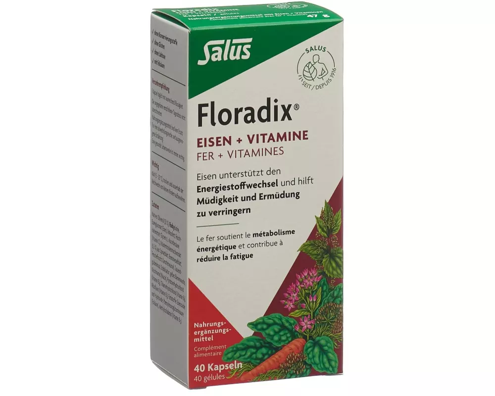 Floradix Eisen + Vitamine 40 Kapseln