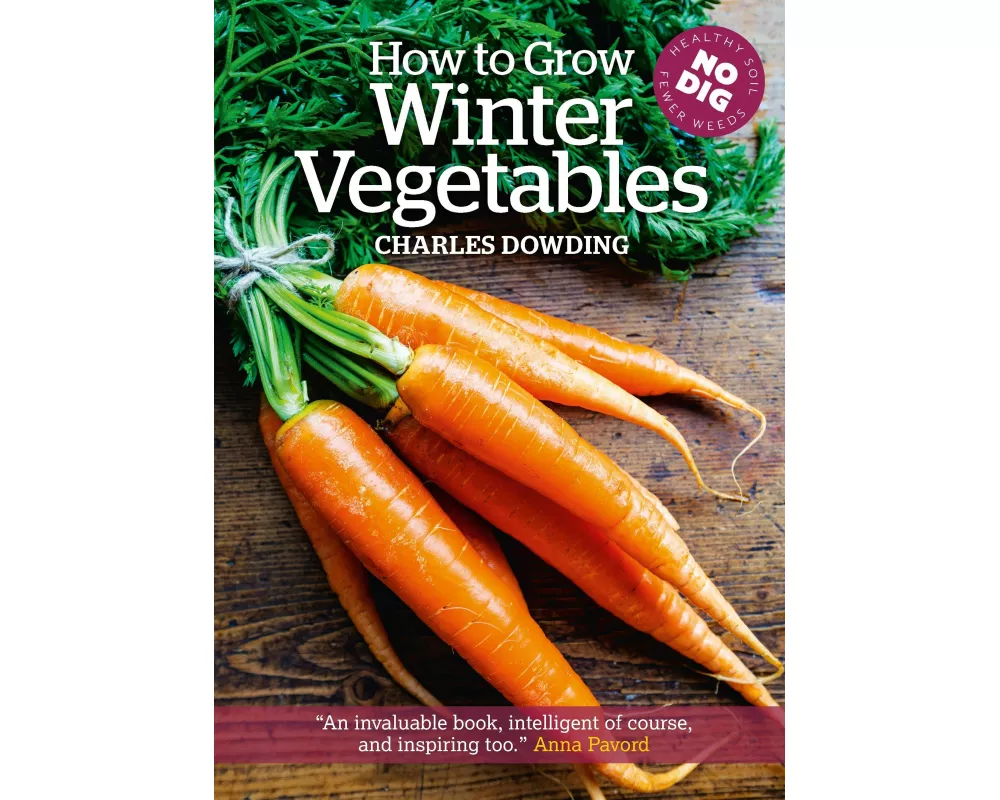 How to Grow Winter Vegetables
