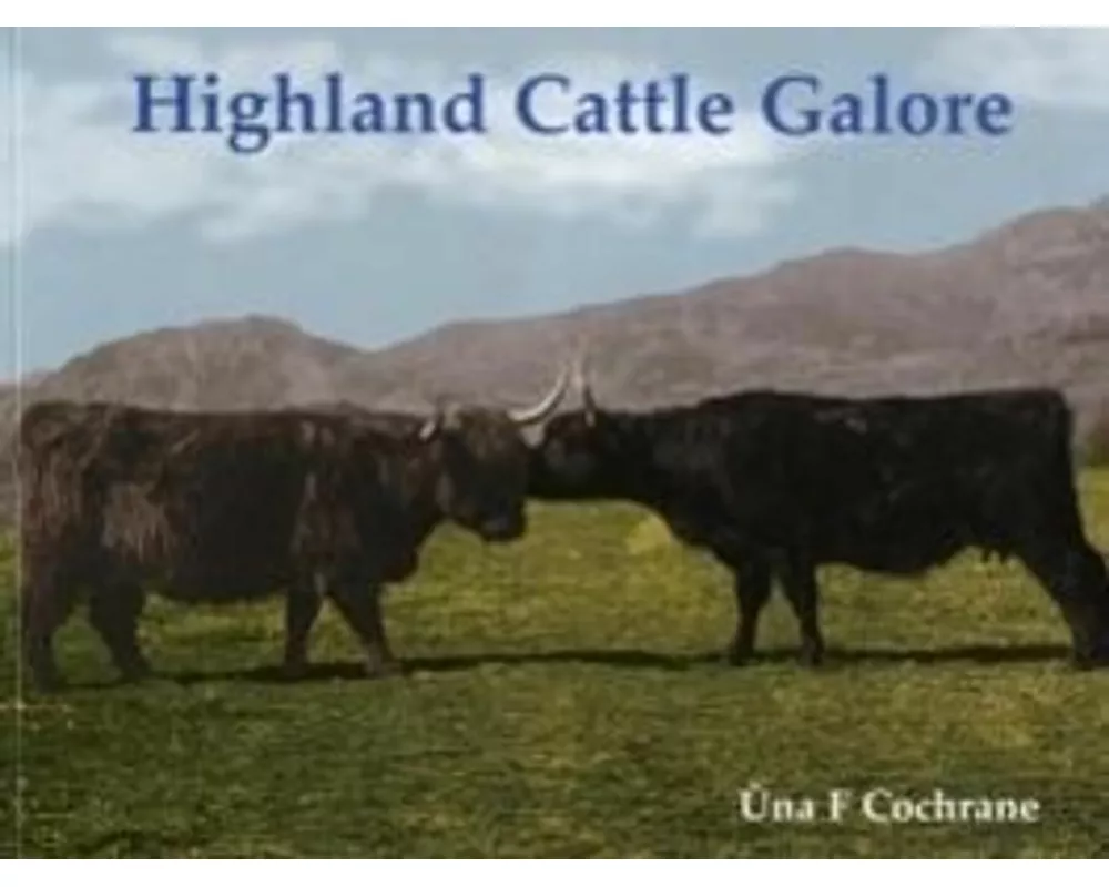 Highland Cattle Galore