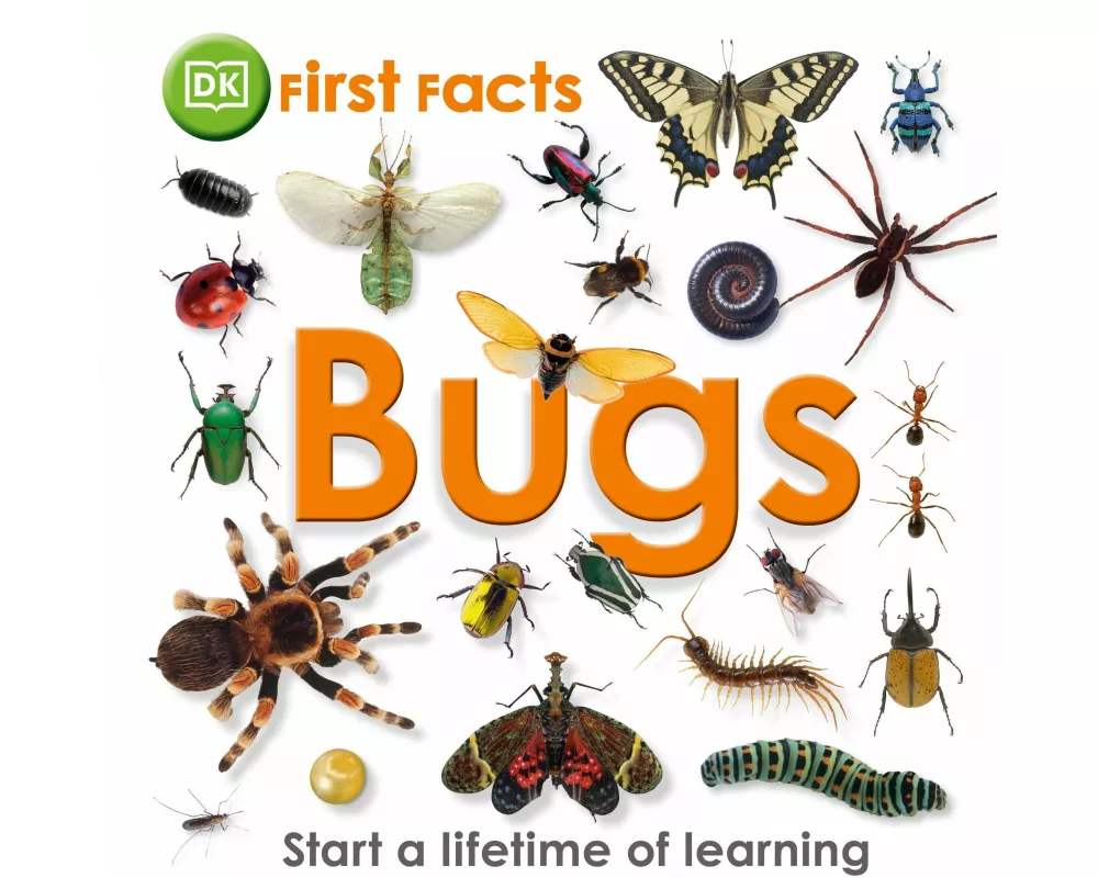 First Facts Bugs
