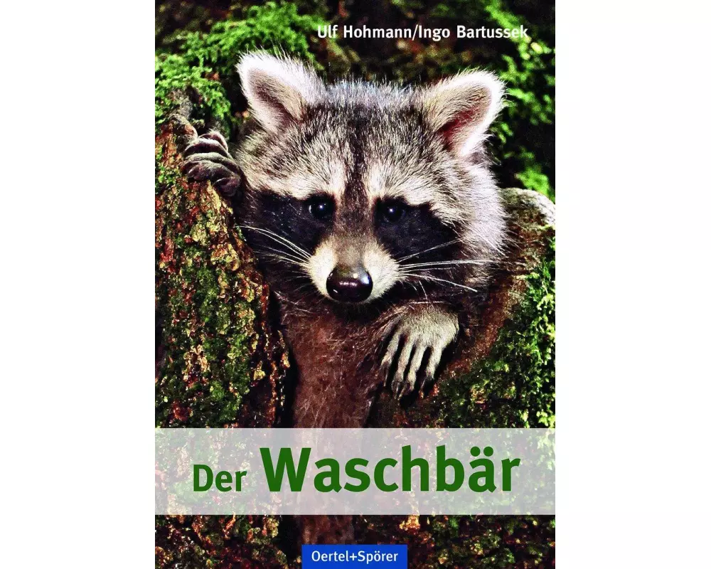 Der Waschbär
