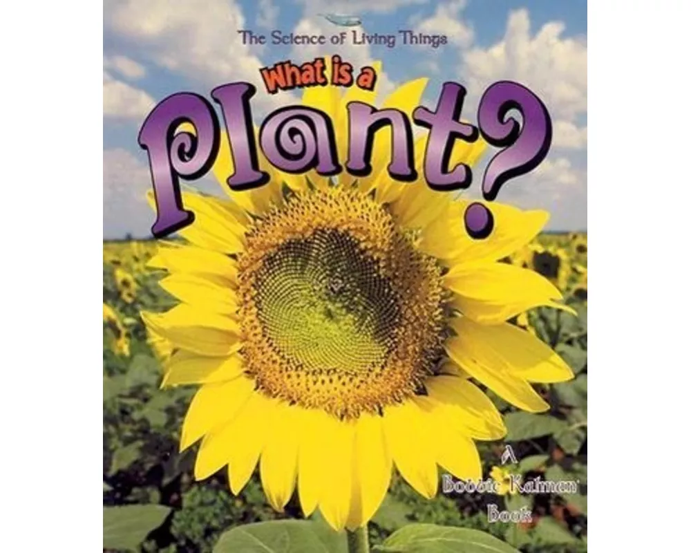 What is a Plant?