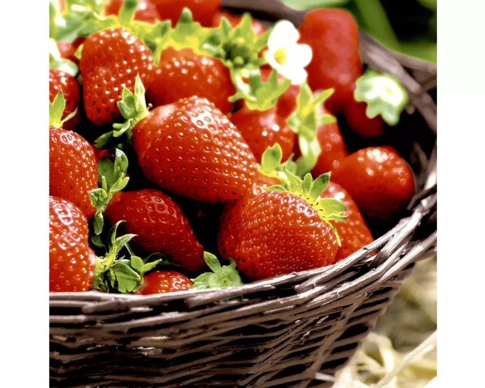 Paper + Design Papierservietten Strawberries 33 cm x 33 cm, 20 Stück