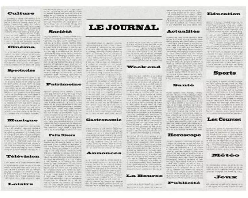 PRO nappe Tischset Zeitung 400 Stück, 30 cm x 40 cm, Schwarz/Weiss