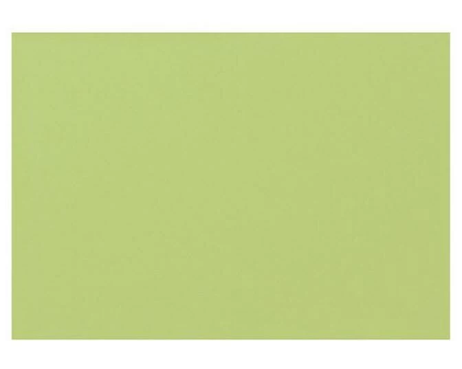 Biella Karteikarten A7 blanko, 100 Stück, Grün