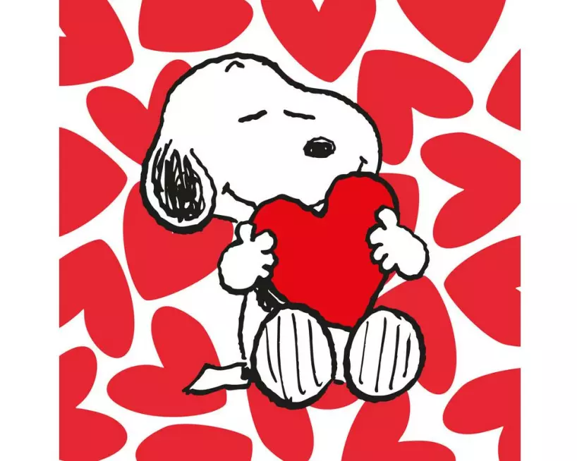 Braun + Company Snoopy Love 20 Stück