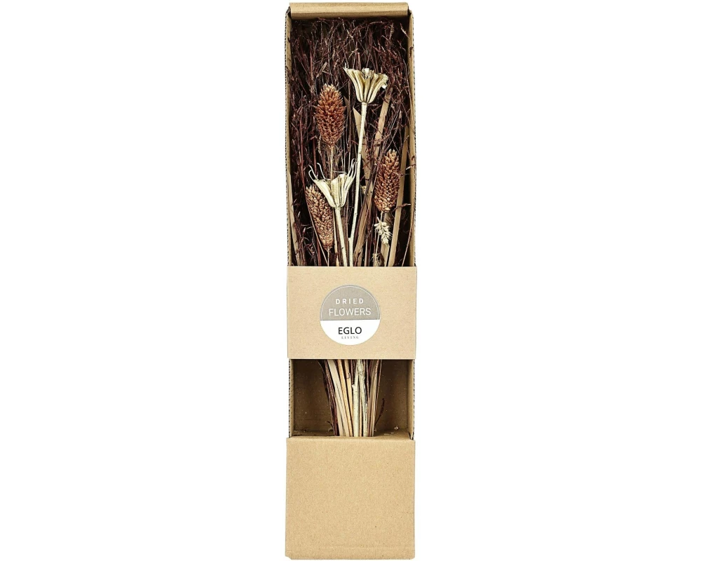 EGLO Trockenblume 37 cm Braun Gold