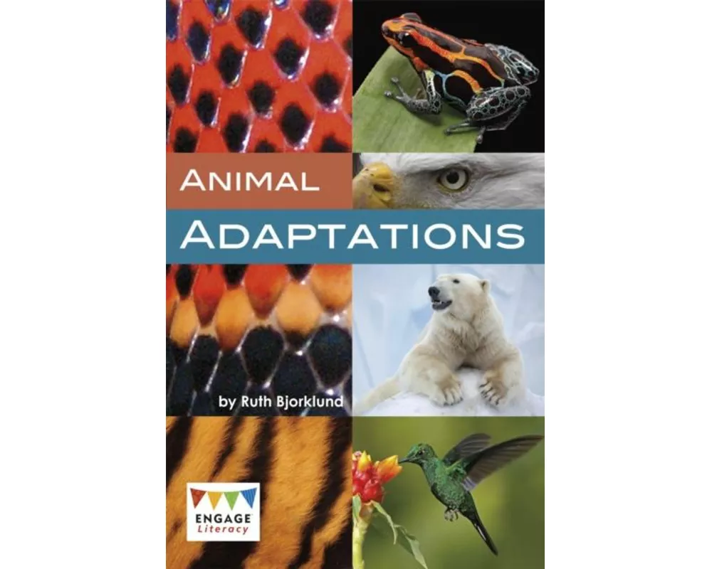 Animal Adaptations
