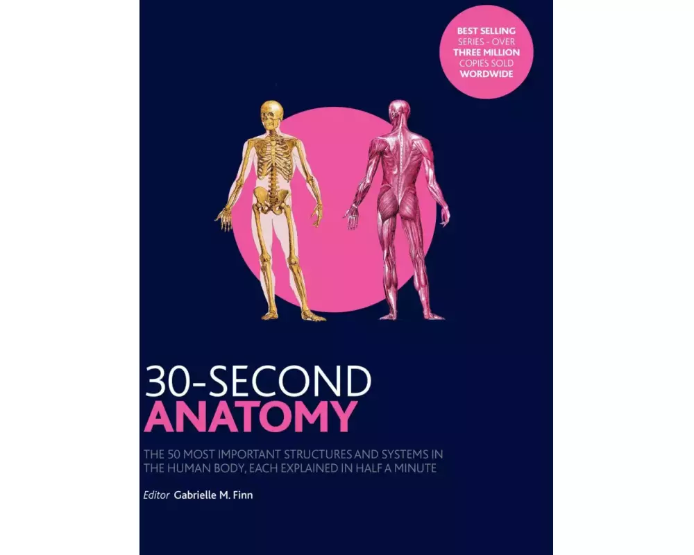 30-Second Anatomy