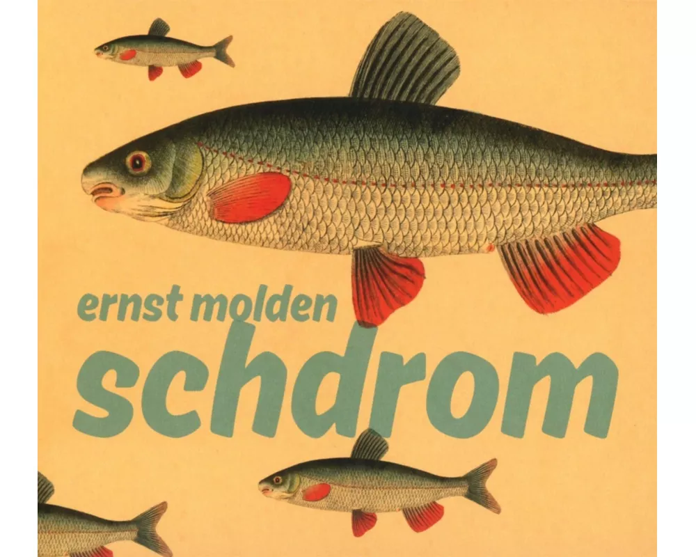 Schdrom
