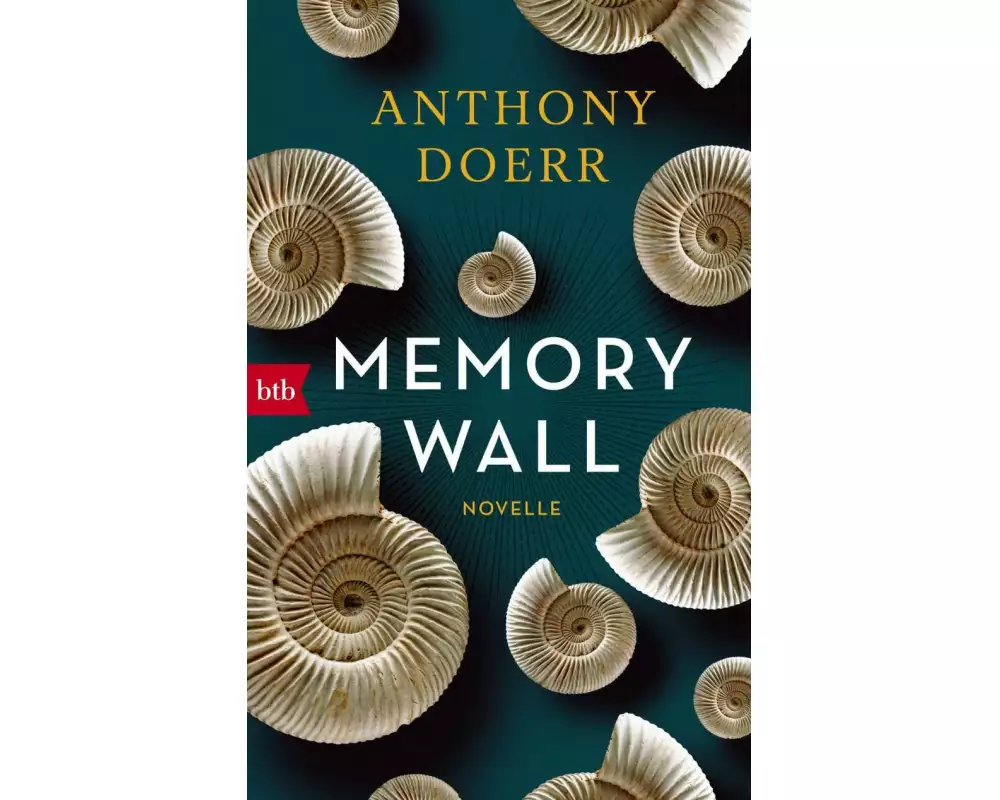 Memory Wall