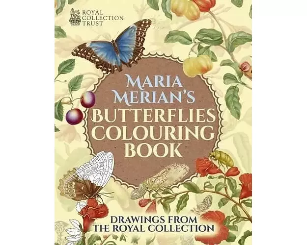 Butterflies Colouring Book