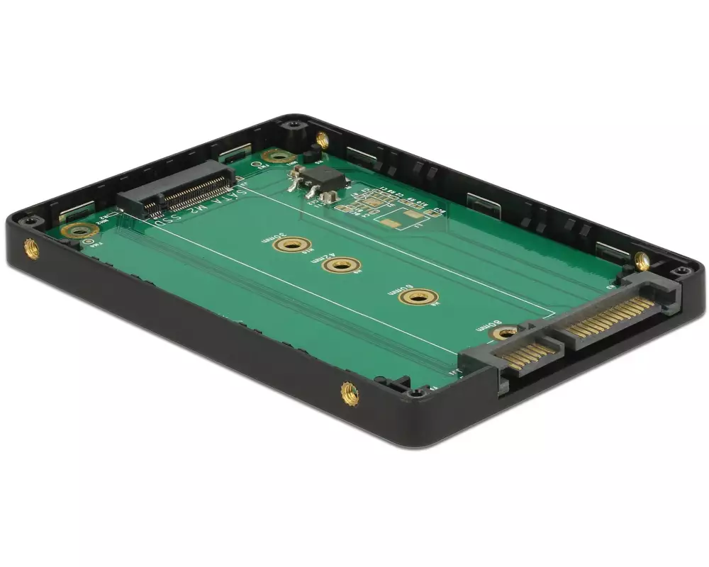 Delock 2.5"-Adapterplatine für M.2-Modul
