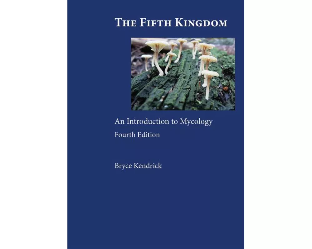 The Fifth Kingdom