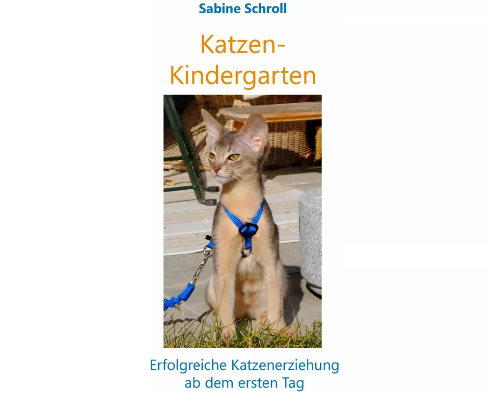 Katzen-Kindergarten