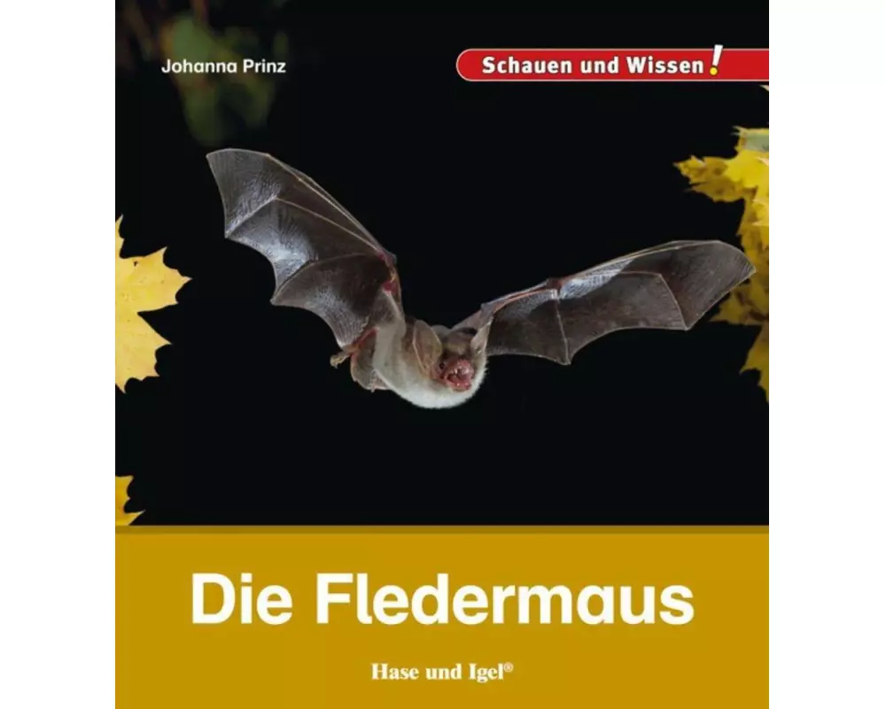 Die Fledermaus