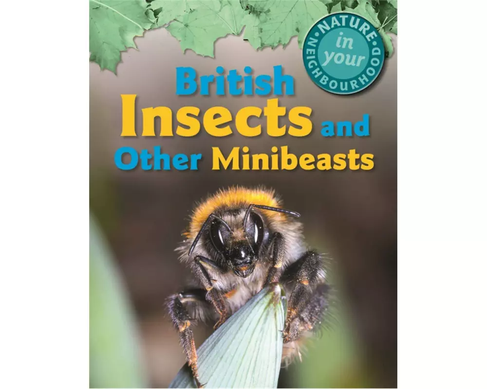 Nature in Your Neighbourhood: British Insects and other Minibeasts