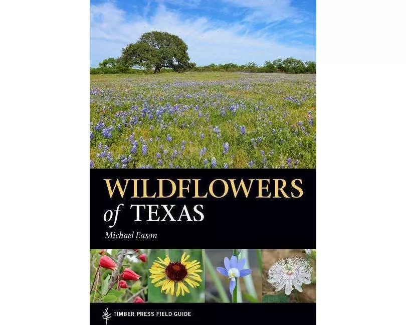 Wildflowers of Texas