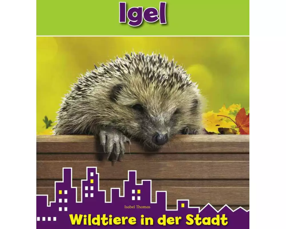 Igel