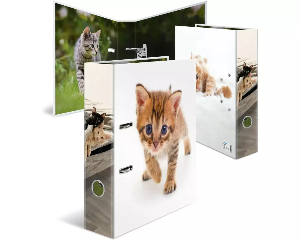 HERMA Motiv-Ordner A4 Katze 1 Stück