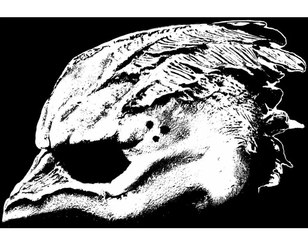 Legend Of The Seagullmen