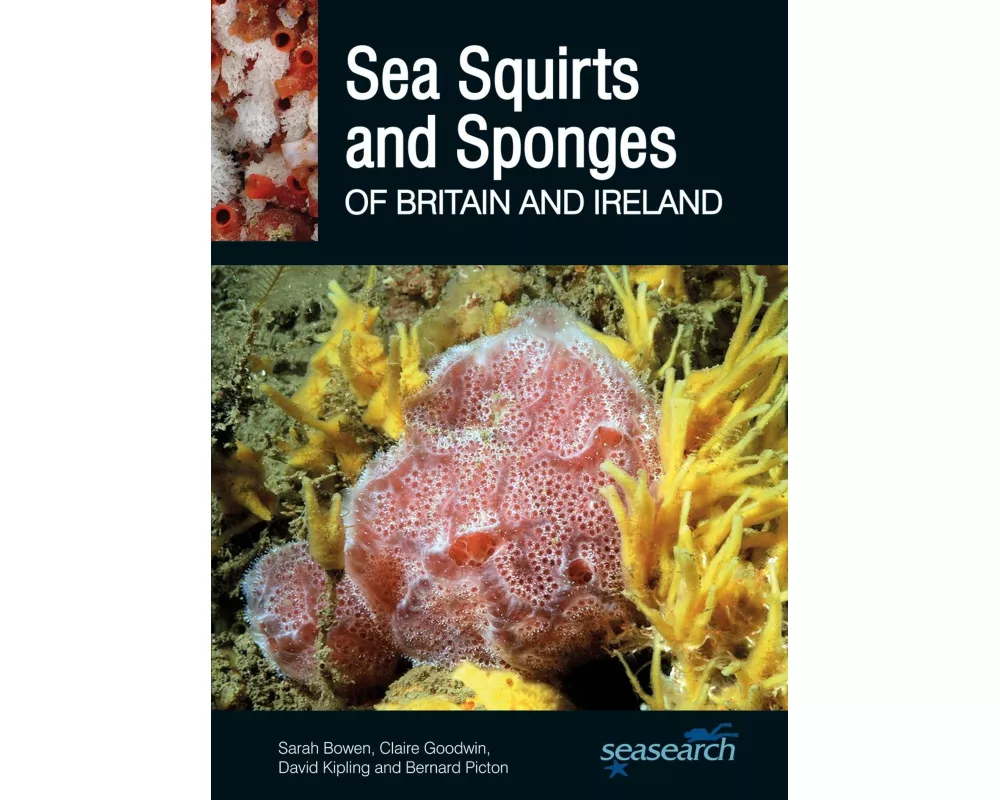Sea Squirts and Sea Sponges of Britain and Ireland