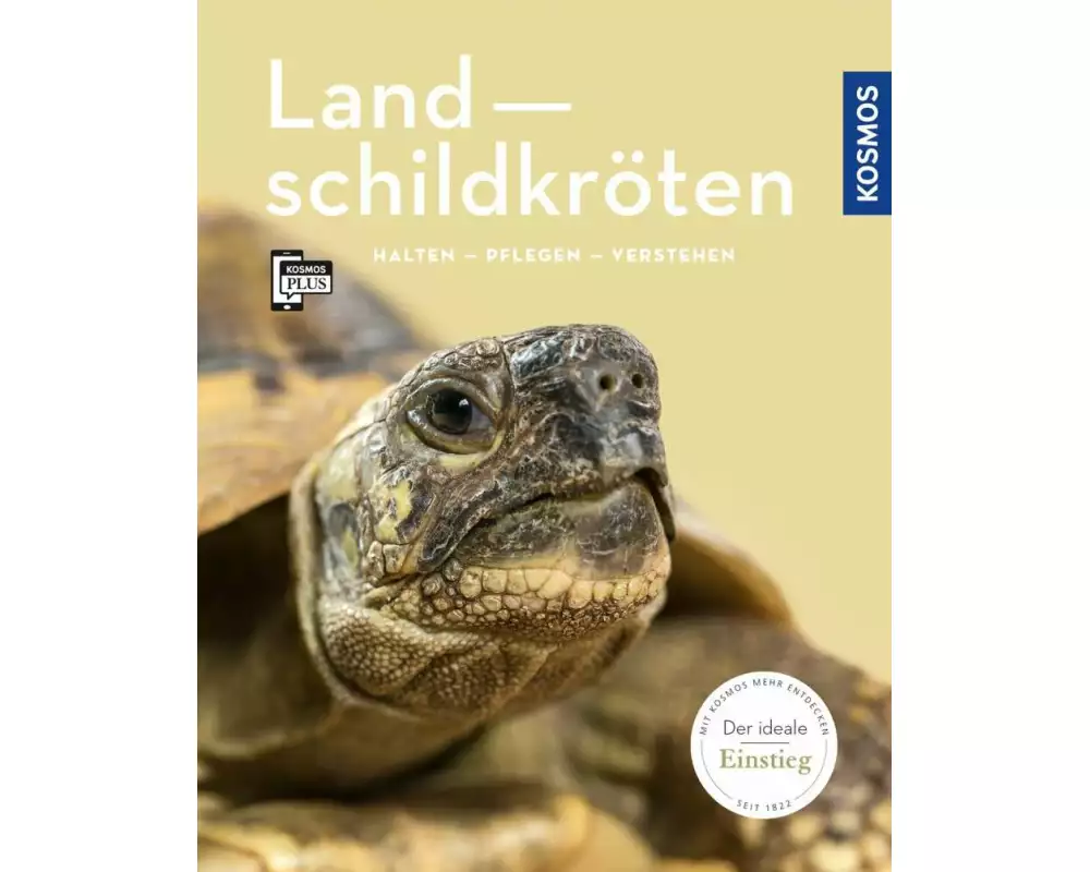 Landschildkröten