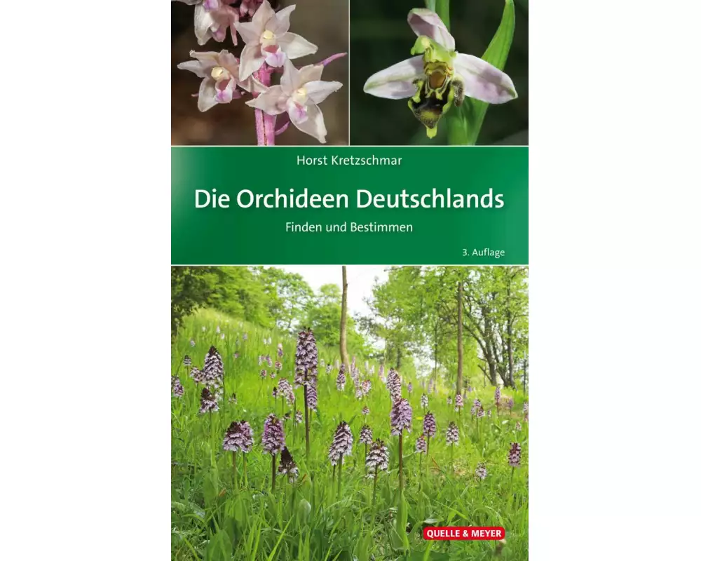 Die Orchideen Deutschlands