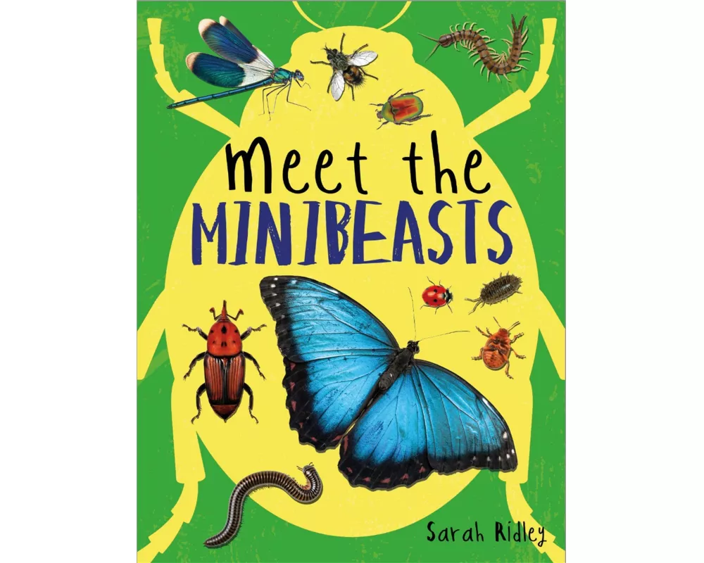 Meet the Minibeasts