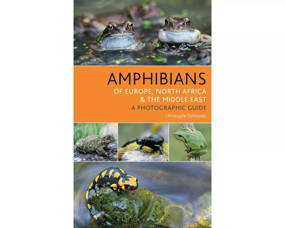 Amphibians of Europe, North Africa and the Middle East