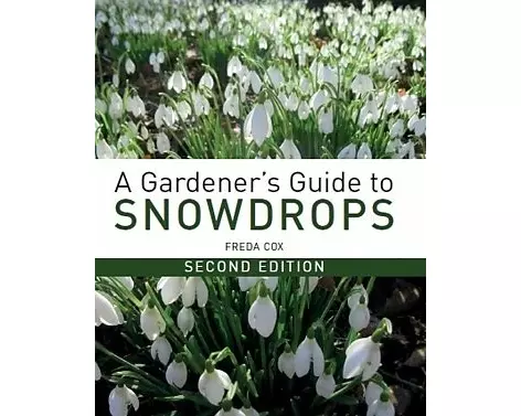 A Gardener's Guide to Snowdrops