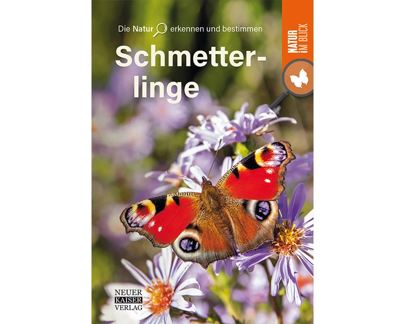 Schmetterlinge