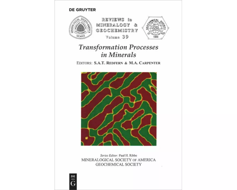 Transformation Processes in Minerals