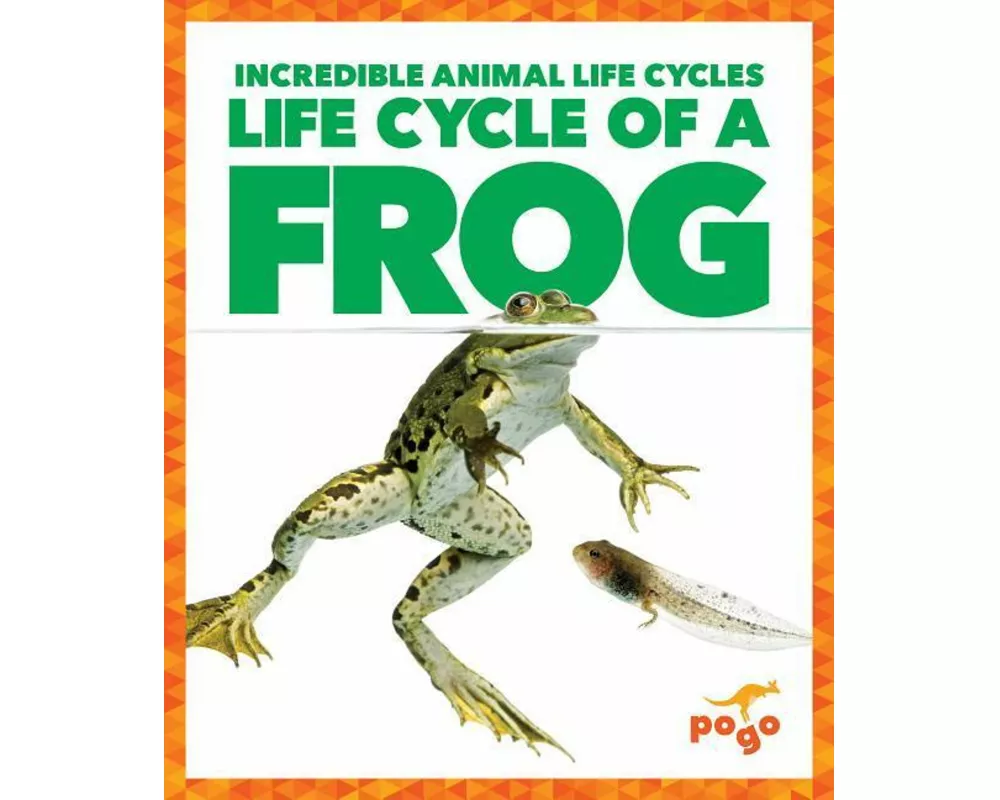 Life Cycle of a Frog